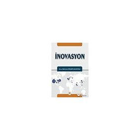 İnovasyon - Arzu Meltem Dinler Sakaryalı