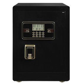 İnsafe ISC45YH Special Edition Orta Boy Çelik Para Kasası