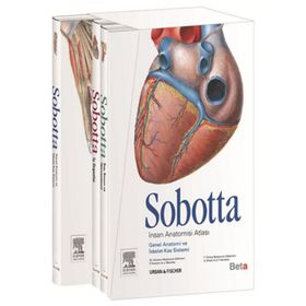 İnsan Anatomisi Cilt 2