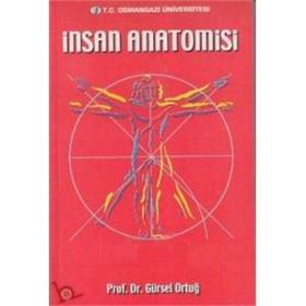 İnsan Anatomisi - Mehmet Yıldırım