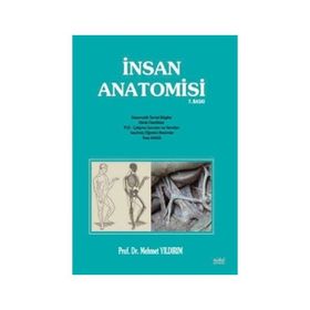 İnsan Anatomisi - Mehmet Yıldırım
