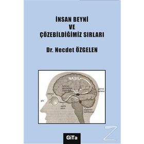 İnsan Beyni ve Çözebildiğimiz Sırları - Dr. Necdet Özgelen