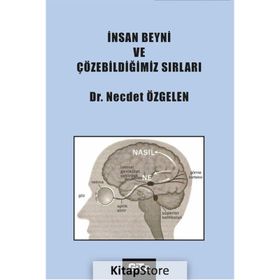 İnsan Beyni ve Çözebildiğimiz Sırları - Dr. Necdet Özgelen