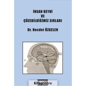 İnsan Beyni ve Çözebildiğimiz Sırları - Dr. Necdet Özgelen