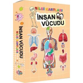 İnsan Vücudu Bilgi Kartları - Teleskop Popüler Bilim