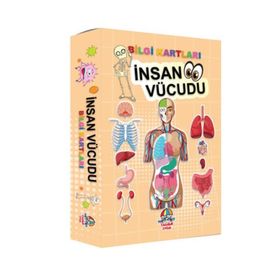 İnsan Vücudu Bilgi Kartları - Teleskop Popüler Bilim