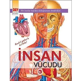 İnsan Vücudu - kollektif