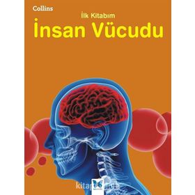 İnsan Vücudu - kollektif