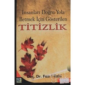 İNSANLARI DOĞRU YOLA İLETMEK İÇİN GÖSTERİLEN TITIZLIK - FAZIL İLAHİ