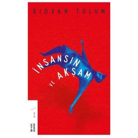 İnsansın Ve Akşam - Rıdvan Tulum