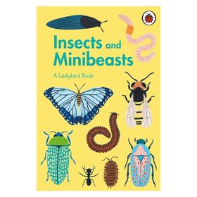 Insects And Minibeasts A Book-Ladybird Publishing