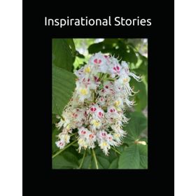 INSPIRATIONAL STORIES - ERHAN ERGENLER