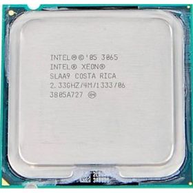 Intel Xeon 3065 2.33 GHz Çift Çekirdekli 775p İşlemci