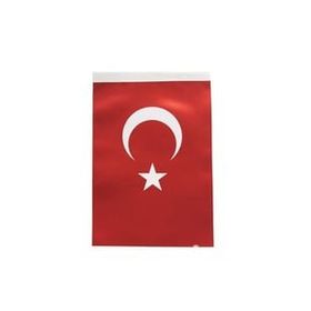 İnter B-004 50x75 cm Türk Bayrağı
