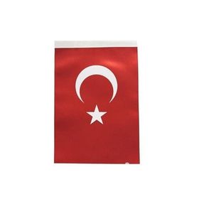 İnter B-004 50x75 cm Türk Bayrağı