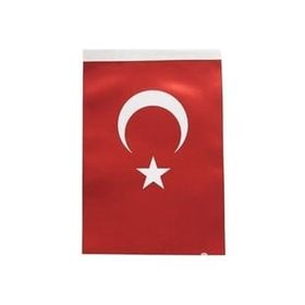 İnter B-007 80x120 cm Türk Bayrağı