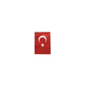 İnter İnt-b005 60cmx90cm Türk Bayrağı