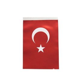 İnter İnt-b005 60cmx90cm Türk Bayrağı