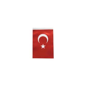 İnter İnt-B006 70x105 cm Türk Bayrağı