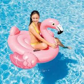 Intex 57558 Tutmaçlı Flamingo Şişme Havuz Yatak