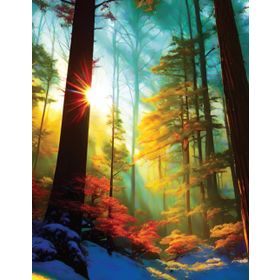 Into the Forest Anthony Browne