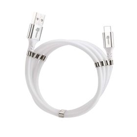 Intouch Self Winding Siyah Type-C Manyetik Kablo