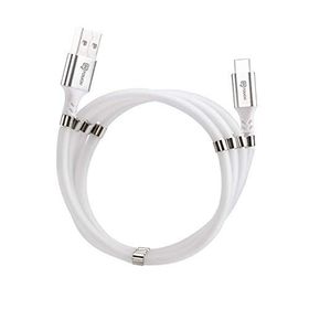 Intouch Self Winding Siyah Type-C Manyetik Kablo