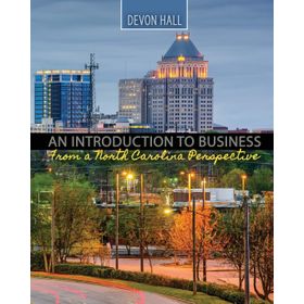INTRODUCTION TO BUSINESS - S. KADRI MIRZE