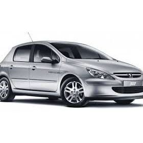 Inwells Peugeot 307 2001-2005 Muz Silecek Takımı