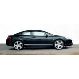 Inwells Peugeot 407- SW Coupe 2004-2011 Ön Muz Silecek