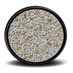 İpek Değirmen 10 kg Ak Darı Muhabbet Papağan Bülbül Tozsuz Kuş Yemi