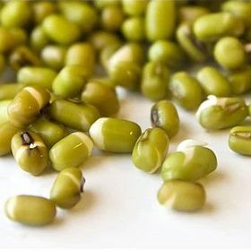 İpek Değirmen 5 kg Maş Fasulyesi Güvercin Papağan Kuş Yemi