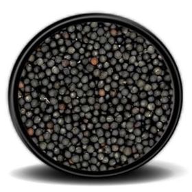 İpek Değirmen Kanola Tohumu Kolza Rapiska 1 kg Kuş Yemi