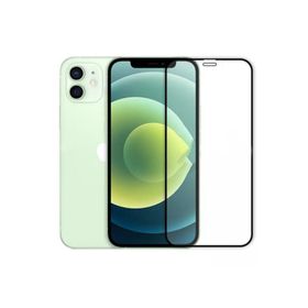 iPhone 11 9H Temperli Ekran Koruyucu Uyumlu Kırılmaz Cam