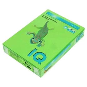 IQ Mondi Iq MA42 80 gr 500xA4 Bahar Yeşili Renkli Kağıt