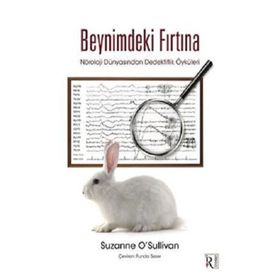 İrene Kitap Beynimdeki Fırtına