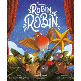 İş Bankası Kültür Yayınları Robin Robin Çocuk Okuma Kitabı