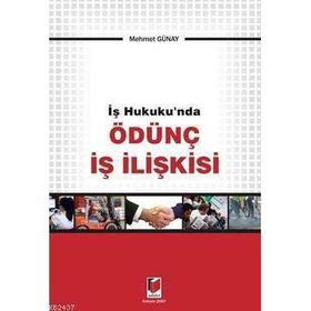 İŞ HUKUKU NDA ÖDÜNÇ İŞ İLİŞKİSİ - MEHMET GÜNAY