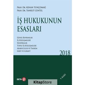 İş Hukukunun Esasları 2016 - Tankut Centel Kenan Tunçomağ