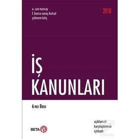 İş Kanunları - Remzi Özmen