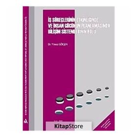 İŞ SÜREÇLERİNİN ETKİNLİĞİNDE VE İNSAN GÜCÜNÜN PLANLAMASINDA BİLİŞİM SISTEMLERININ ROLÜ - YILMAZ GÖKŞEN