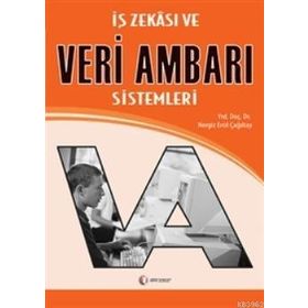 İŞ ZEKÂSI VE VERI AMBARI SISTEMLERI - NERGIZ ERCIL ÇAĞILTAY