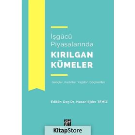 İşgücü Piyasalarında Kırılgan Kümeler - Hasan Ejder Temiz