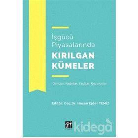 İşgücü Piyasalarında Kırılgan Kümeler - Hasan Ejder Temiz