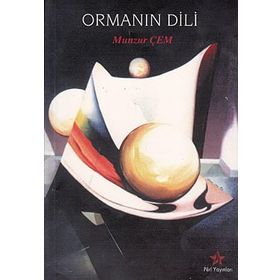 İSKANDINAV MODELI - GENEL