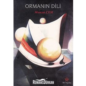 İSKANDINAV MODELI - GENEL