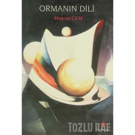 İSKANDINAV MODELI - GENEL