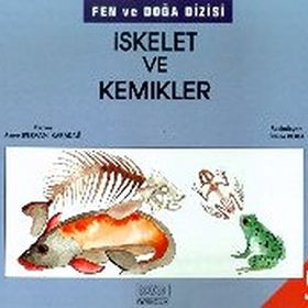 İskelet ve Kemikler - Asiye Pervan Karadağ