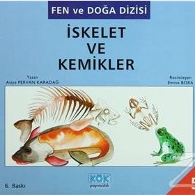 İskelet ve Kemikler - Asiye Pervan Karadağ