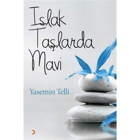 Islak Taşlarda Mavi - Yasemin Telli